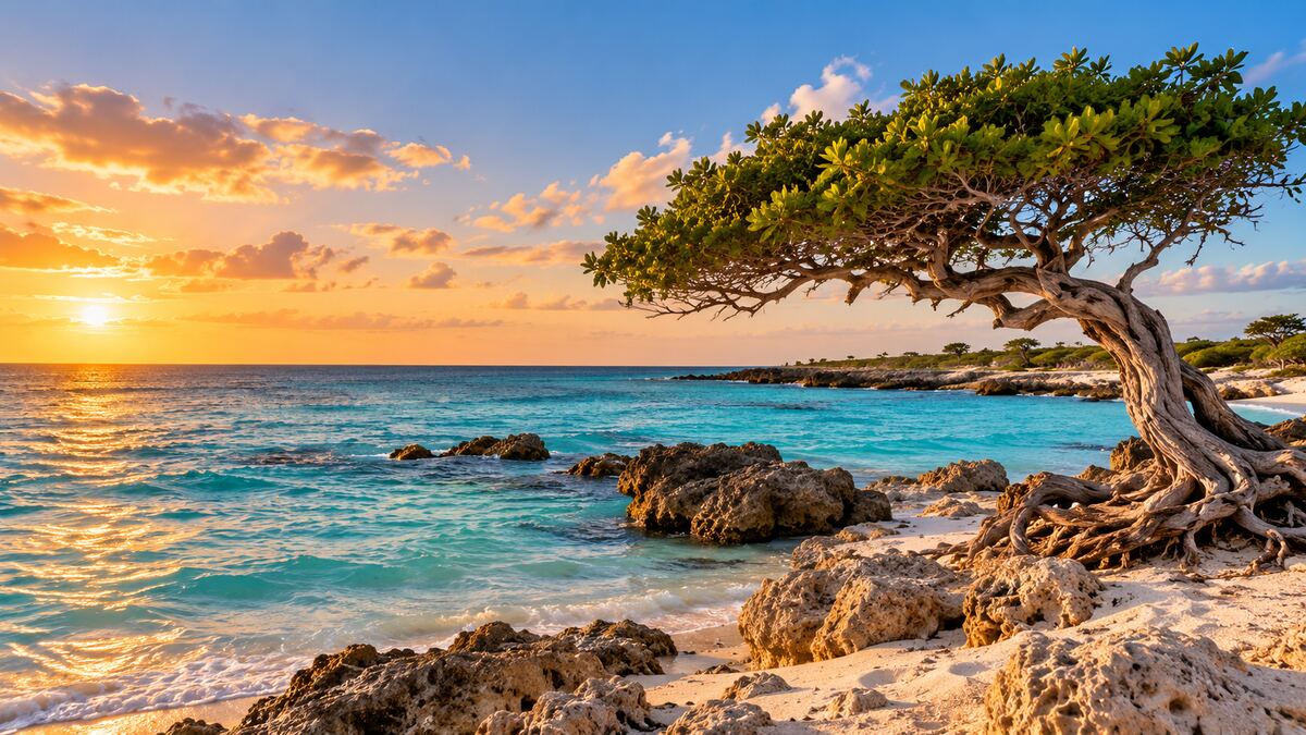 Aruba eSIM